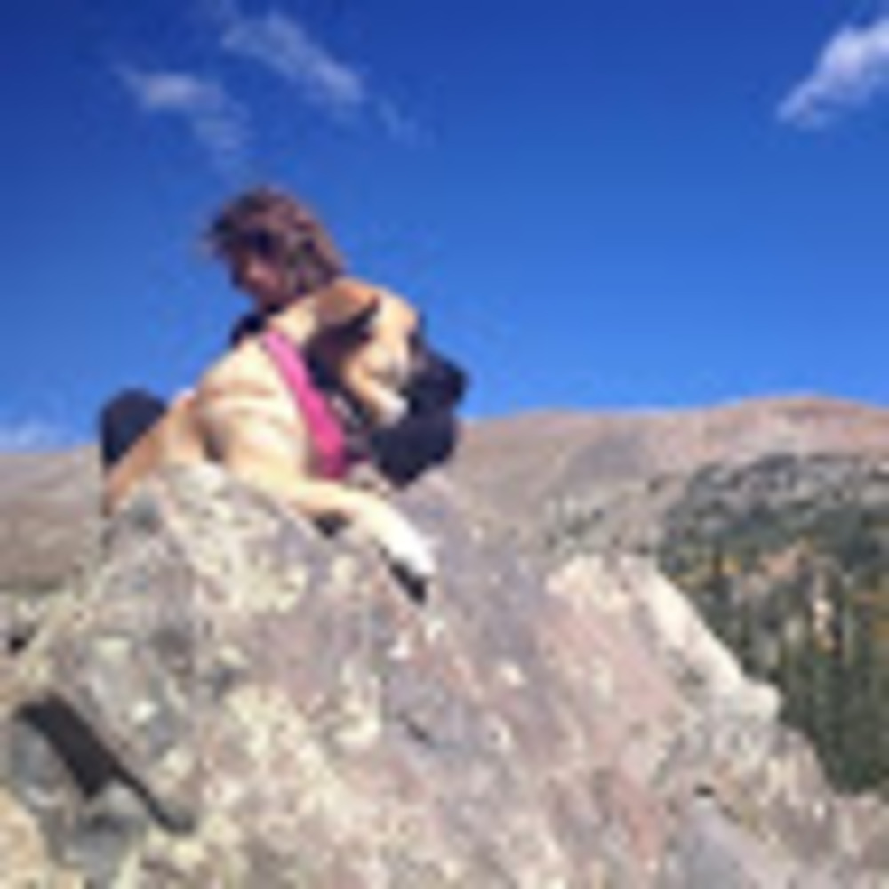 Meet your Posher, Sierra